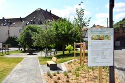 Zeller Lieblingsplatz zum Jubiläum "50 Jahre Landkreis Würzburg"